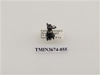 藏品(象鼻蟲(2))的圖片